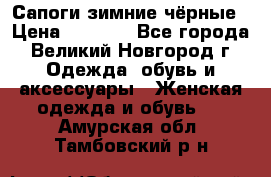 Сапоги зимние чёрные › Цена ­ 3 000 - Все города, Великий Новгород г. Одежда, обувь и аксессуары » Женская одежда и обувь   . Амурская обл.,Тамбовский р-н